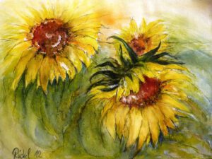 Das Aquarell zeigt Blüten der Sonnenblume