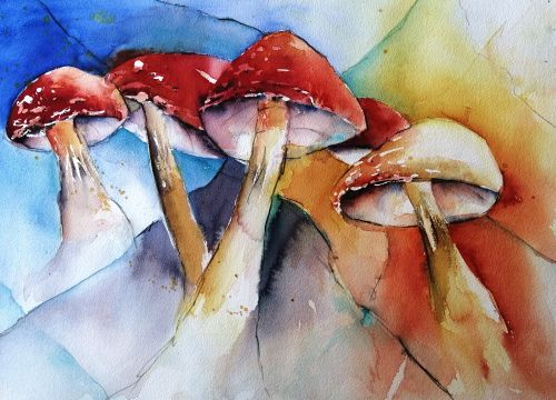 Ein Aquarell zeigt zeigt abstrakt gemalte Pilze