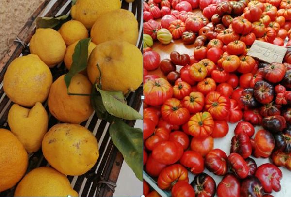 Das Foto zeigt ernefrische Zitronen mit Blatt und eine bunte Mischung von Tomaten